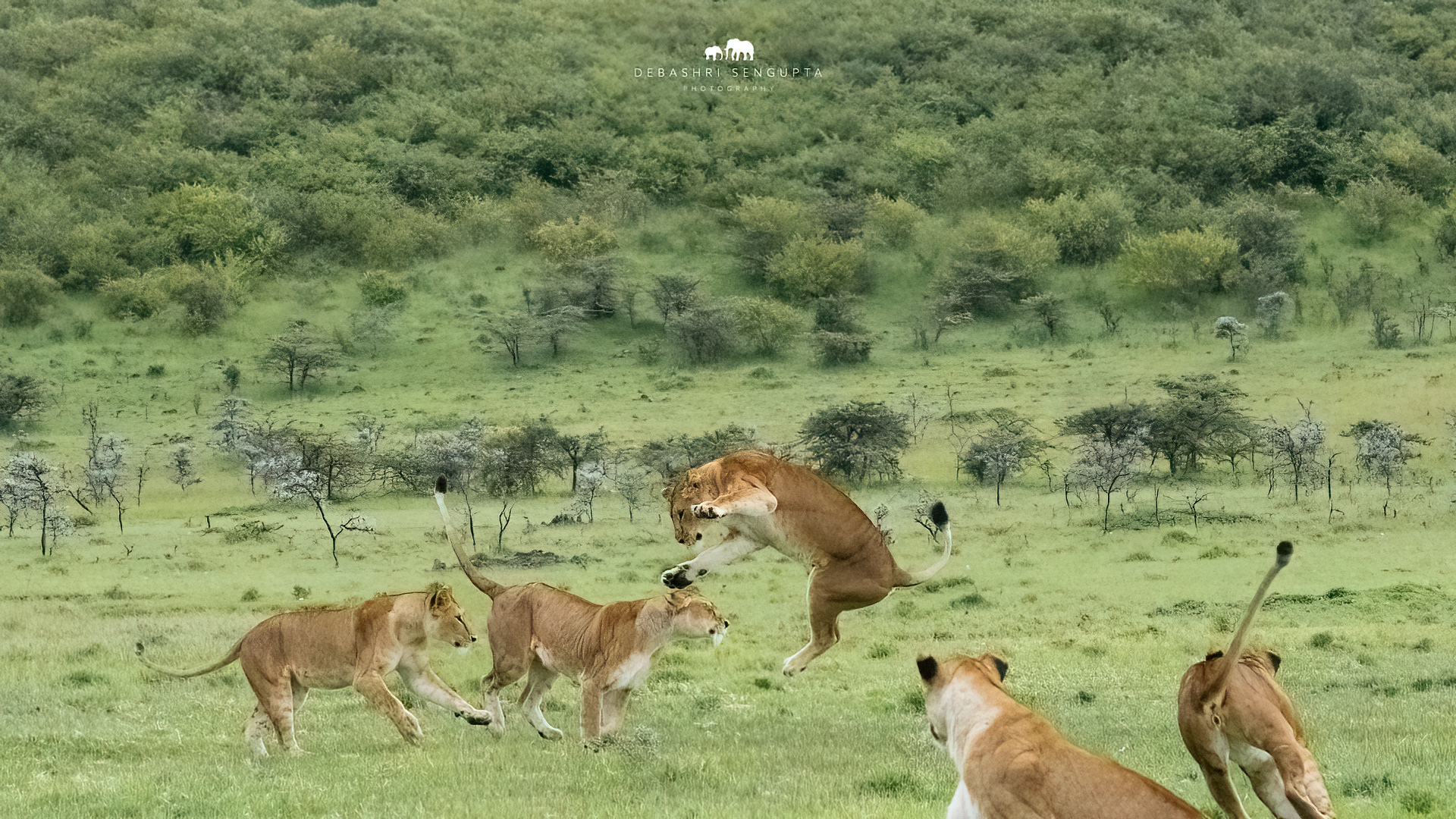 Why a Private Conservancy Changes Everything